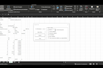 provide an automatic excel importer for files csv and txt