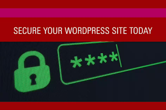 a wordpress website security audit