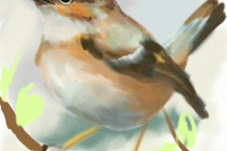 draw professional children book illustrations