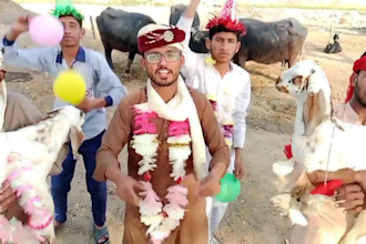 wish happy birthday video or african happy birthday videos