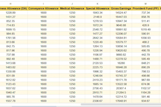 automate bulk PDF to excel conversion for your business with python