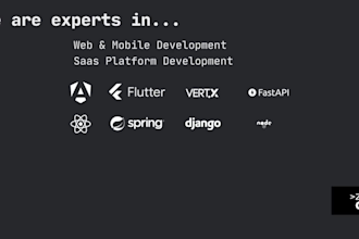 develop your saas app using react, vuejs, angular, django