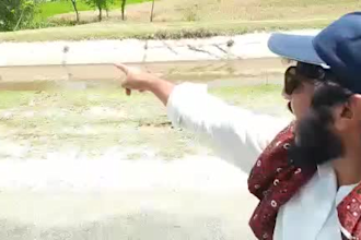 recode a funny happy birthday video for you