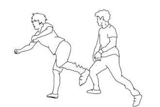 create 2d line art, line art animation hand drawn video, animated illustration