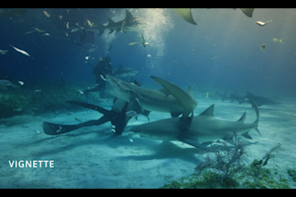 do cinematic color grading  in davinci resolve for your film, music, ads, videos