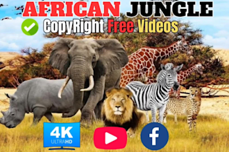 edit wildlife animal and 4k epic fighting videos for youtube
