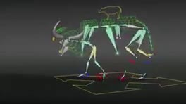 do 3d animal animation, 3d animal model, cgi animal animation, 3d animal fur vfx