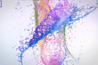 create color paints mixing and splashing logo animation