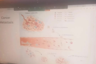 teach and assist you in science biology and chemistry