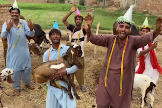 wish funny african happy birthday video with crazy dance