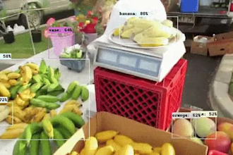 do object identification, classification, segmentation