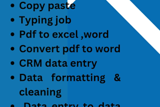 do accurate data entry , copy paste, typing,convert pdfs