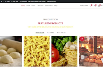 design and customize wordpress responsive website