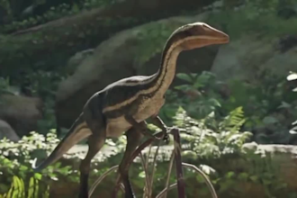 create realistic 3d animal animation, 3d cgi animal model, vfx compositing