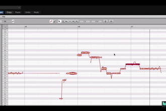 quantize,edit,pitch correction of drum,vocal,etc manually