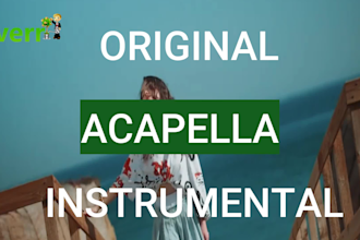 remove vocals from any song, make instrumentals, karaoke