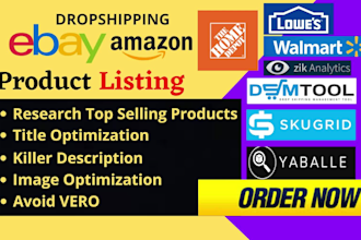 do ebay dropshipping top listings and research
