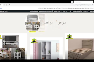 design website and rebuild responsive wordpress, ecommerce, elementor websites
