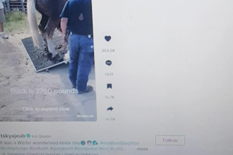create a USA tiktok account, ads manager and business center