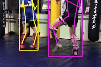 do manual image annotations, polygons, keypoints, bounding boxes