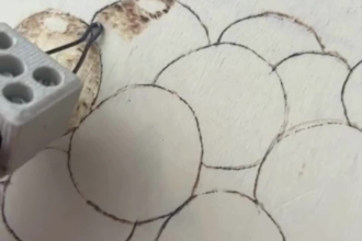 creating canvas with wood burning