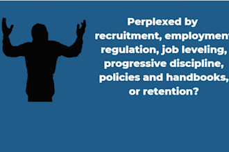 provide expert HR consultation