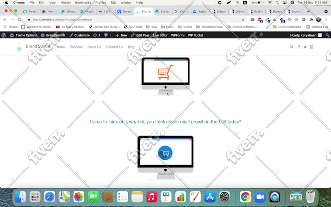 do wordpress website speed optimization or speed up wordpress website