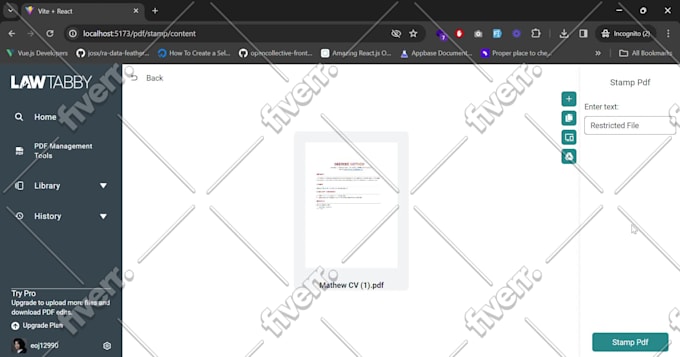 be your ai software developer for ai web app development saas