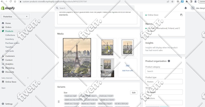 build a dropshipping shopify store or shopify website