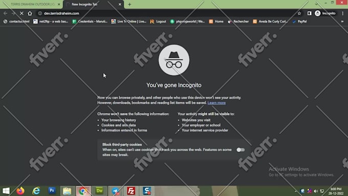 fix any kind of errors and issues to opencart based website