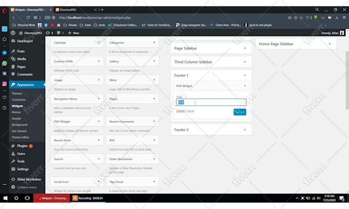 customize plugin, theme and complete website in wordpress