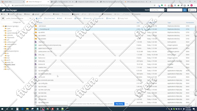 copy clone and migrate wordpress website