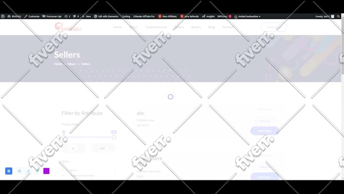 customize plugin, theme and wordpress website development