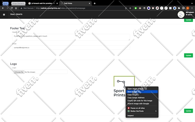 develop professional websites and web apps for you