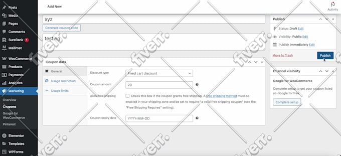 create and customize a professional wordpress website