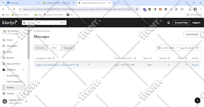 customize, fix and update shopify website