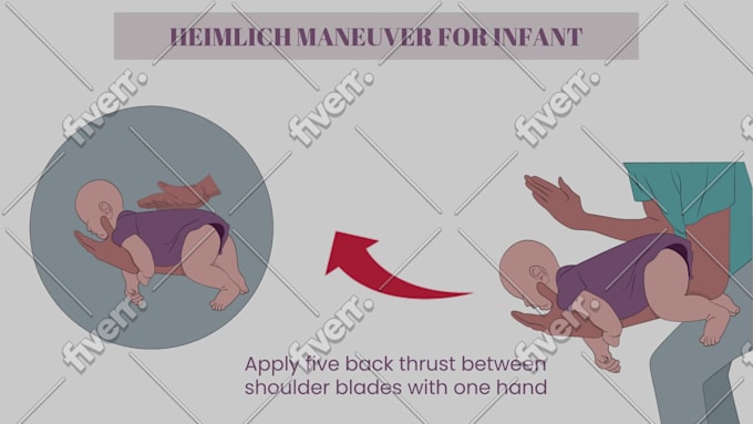 draw high quality manual and step by step instruction guide for product, brand