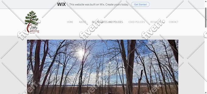 small business website squarespace website design wix redesign wordpress website