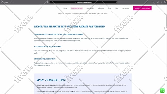 user test your website with video feedback and review