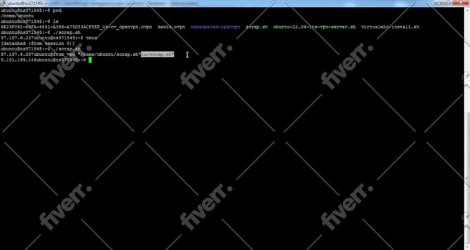 install openvpn, wireguard, outline, pptp vpn