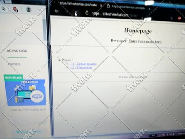 do PHP coding work