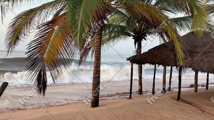 answer all your questions about west africa
