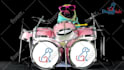 do this funny dj dog playing drum video ad