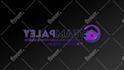create motion graphic logo animation
