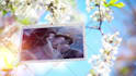 do wedding invitation save the date anniversary video