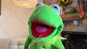 have kermit the frog record a video message or audio message