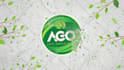 make amazing logo reveals