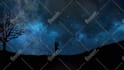 create custom, cinematic, modern lyrics and hd animation video
