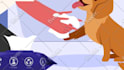 create fully custom 2d animated explainer video for you