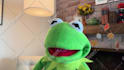 have kermit the frog record a video message or audio message